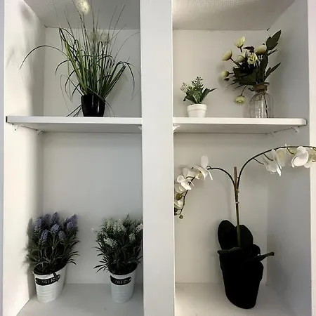 Apartament Le Jutard - Proche Des Quais - 5 Personnes